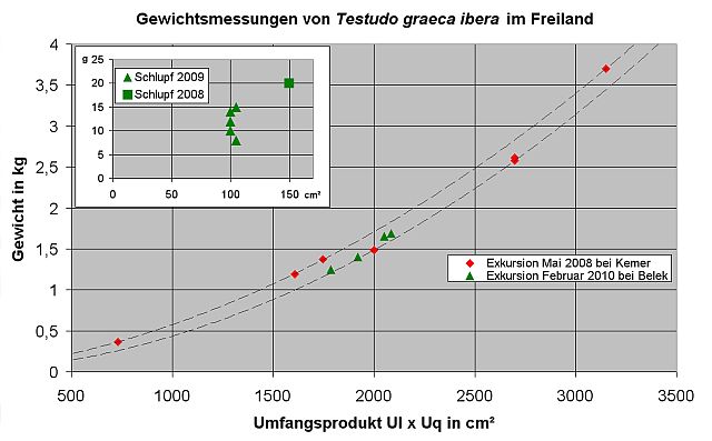 Gewichteibera2008und_2010klein