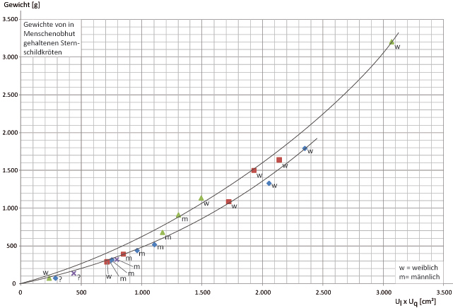 diagrammkloriginal